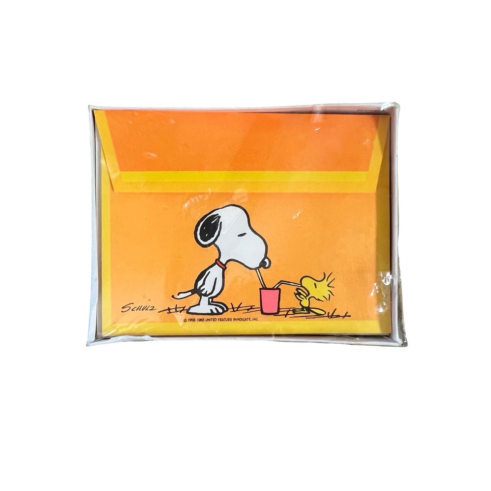 Vintage 1965 Hallmark Peanuts Snoopy Woodstock Note Cards Set 10 Count Orange